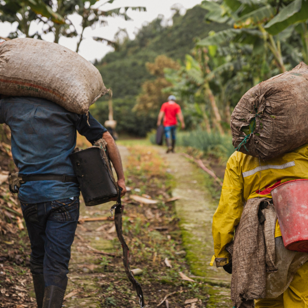 global partnership on the true price of food stakeholders